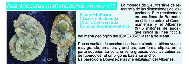 Exposición y charla sobre Fósiles de Burgos  Mca00110