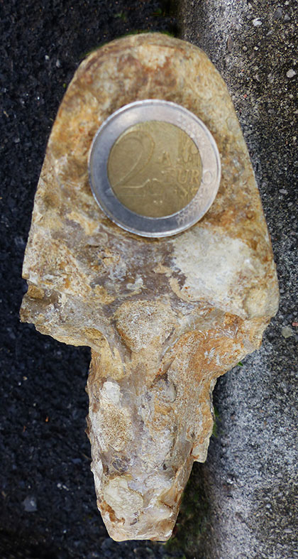 Identificación ammonite lytoceratido? Mca00111
