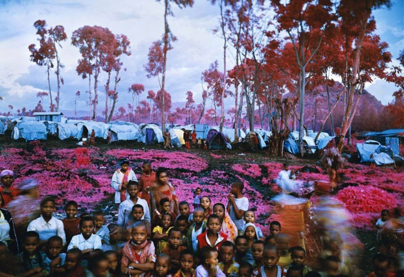 Richard Mosse "Розовая война в Конго"  Инфракрасная пленка Kodak Aerochrome Phot1490