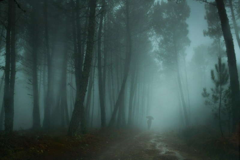 Henri Prestes  Одинокие скитания по туманным дорогам и лесам Phot1645