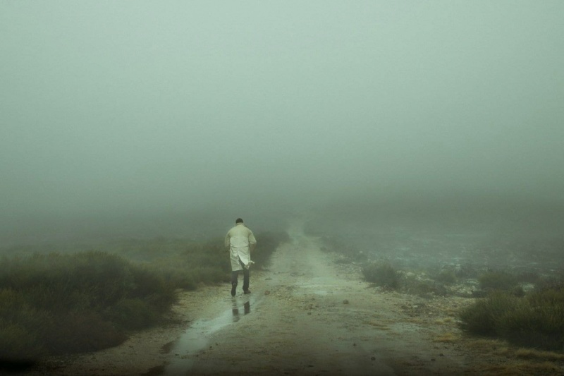 Henri Prestes  Одинокие скитания по туманным дорогам и лесам Phot1646