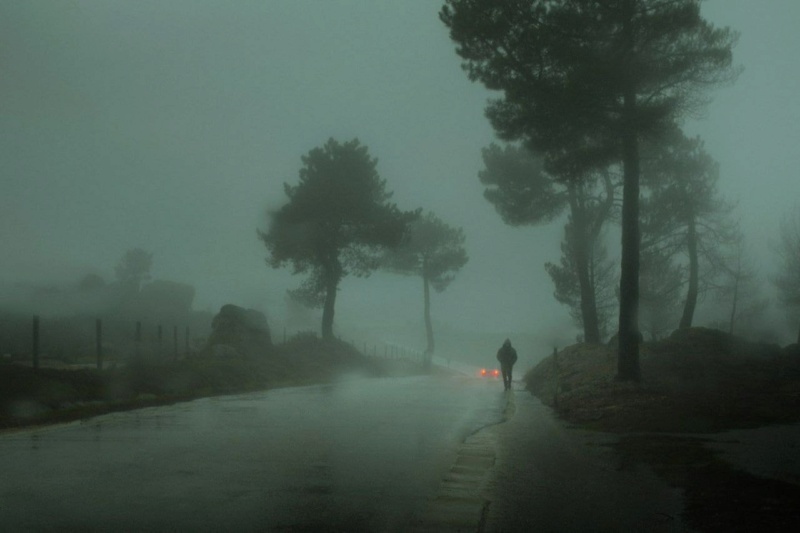 Henri Prestes  Одинокие скитания по туманным дорогам и лесам Phot1647