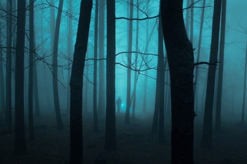 Henri Prestes  Одинокие скитания по туманным дорогам и лесам Phot1650