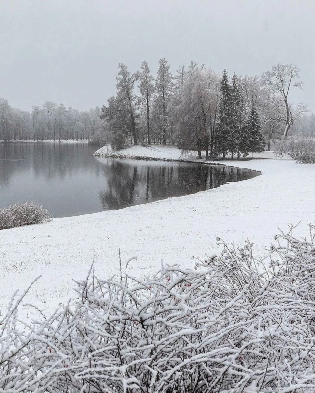 Первый снег в Екатерининском парке Царского Села Photo816
