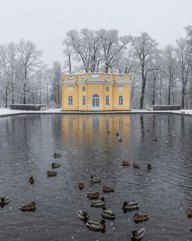 Первый снег в Екатерининском парке Царского Села Photo819