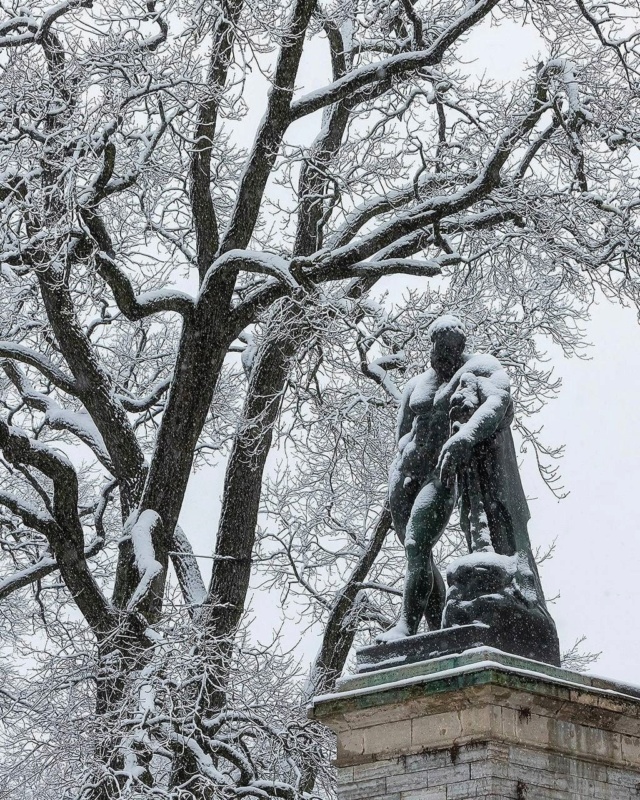 Первый снег в Екатерининском парке Царского Села Photo820
