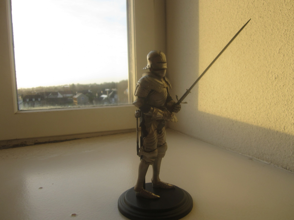 Rétrospective figurines 6 inches : Les chevaliers médiévaux Img_1313
