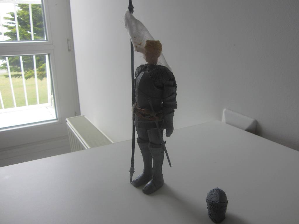 Rétrospective figurines 6 inches : Les chevaliers médiévaux Img_2412