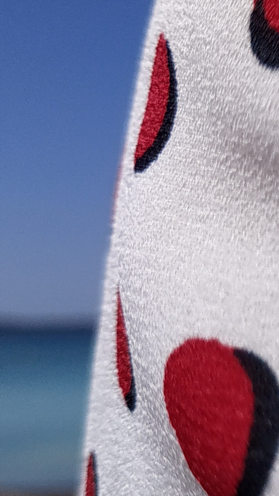 Concours du moi de mai 2020 "TRICOLORE" - Page 2 Ratzoe10