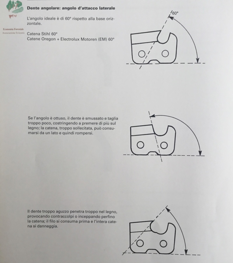 AFFILATURA DELLA CATENA TAGLIENTE parte 2 - Pagina 35 45167310