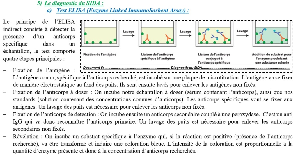 Chapitre 2 : Les dérèglements du système immunitaire (partie 6) 610