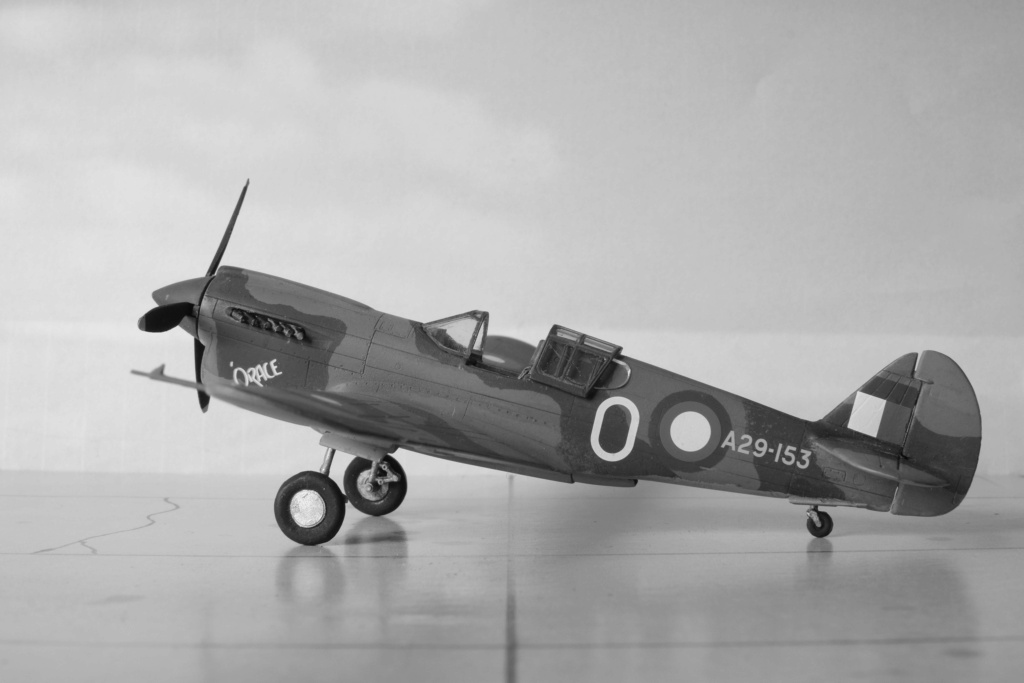 Kittyhawk Mk I a AZ Model 1/72° Dscf0122