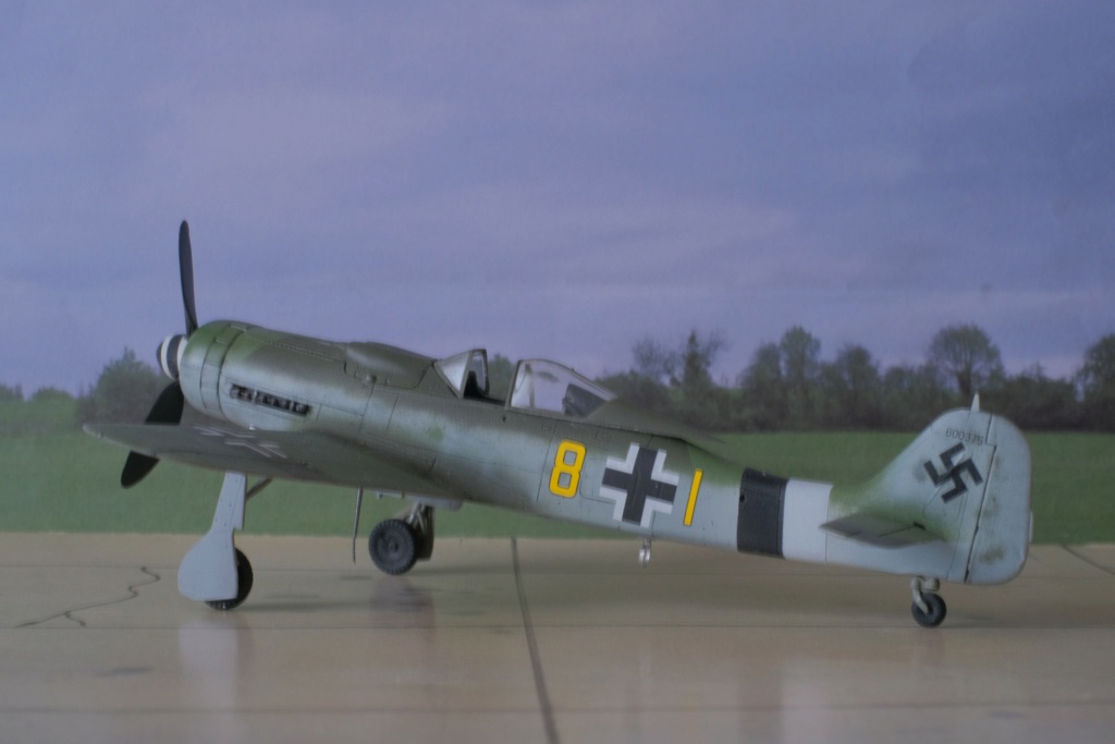 [Tamiya] 1/72 - Focke-Wulf Fw 190D  (fw190) Dscf1472