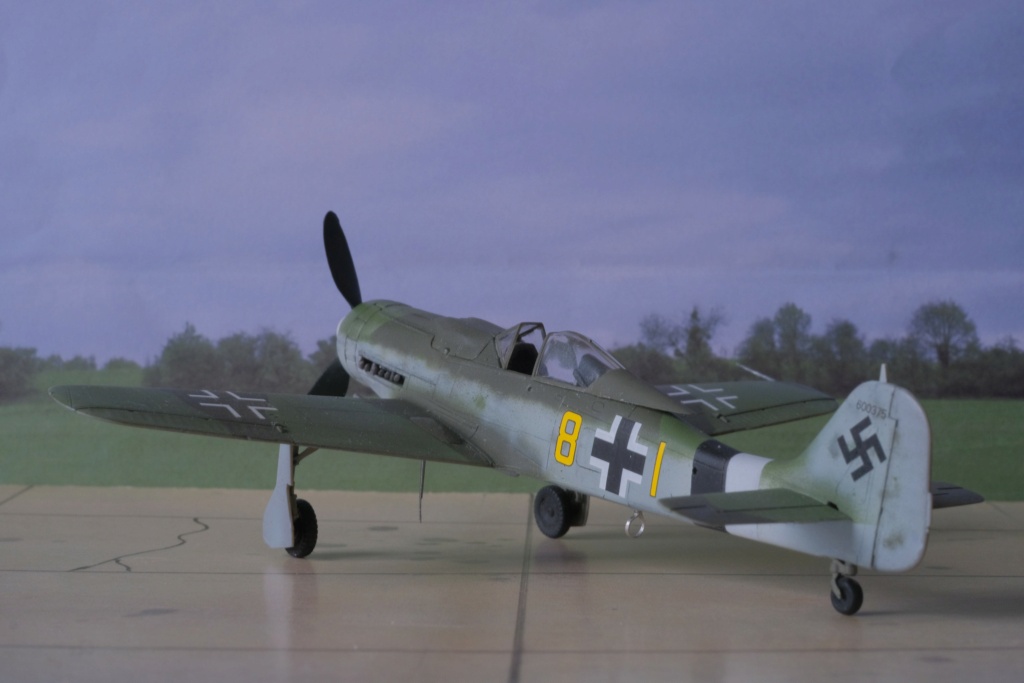 [Tamiya] 1/72 - Focke-Wulf Fw 190D  (fw190) Dscf1520
