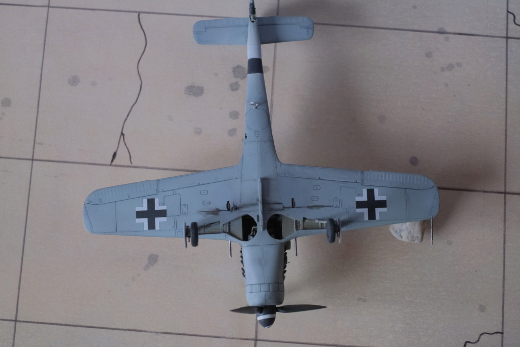 [Tamiya] 1/72 - Focke-Wulf Fw 190D  (fw190) Dscf1529