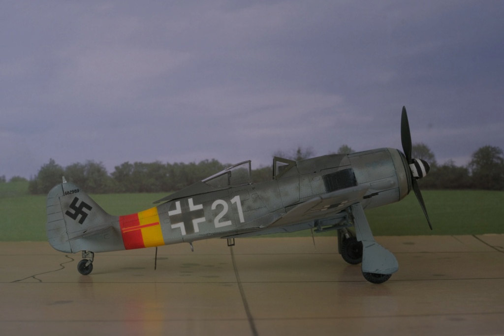 [Eduard] 1/72 - Focke-Wulf Fw 190 A  (fw190) Dscf1544