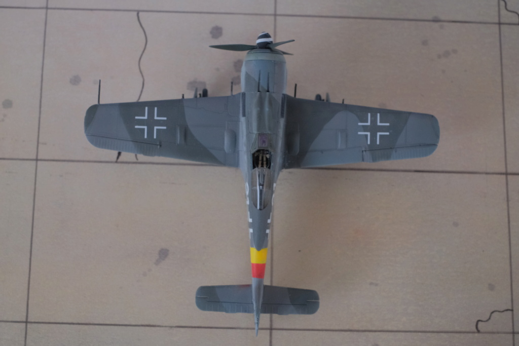 [Eduard] 1/72 - Focke-Wulf Fw 190 A  (fw190) Dscf1546