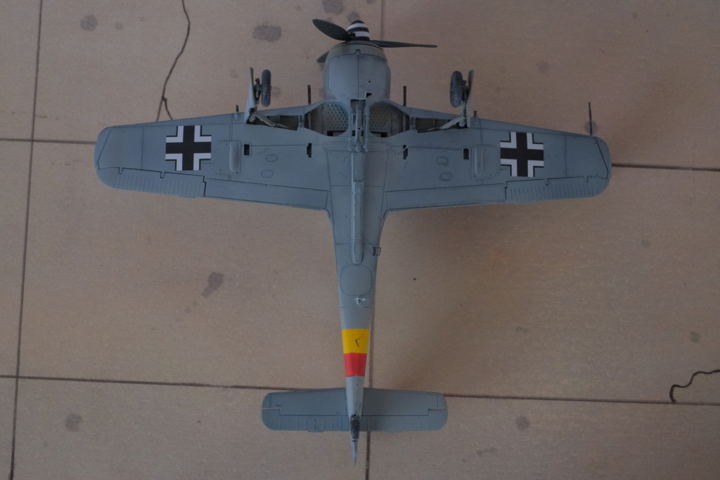 [Eduard] 1/72 - Focke-Wulf Fw 190 A  (fw190) Dscf1547