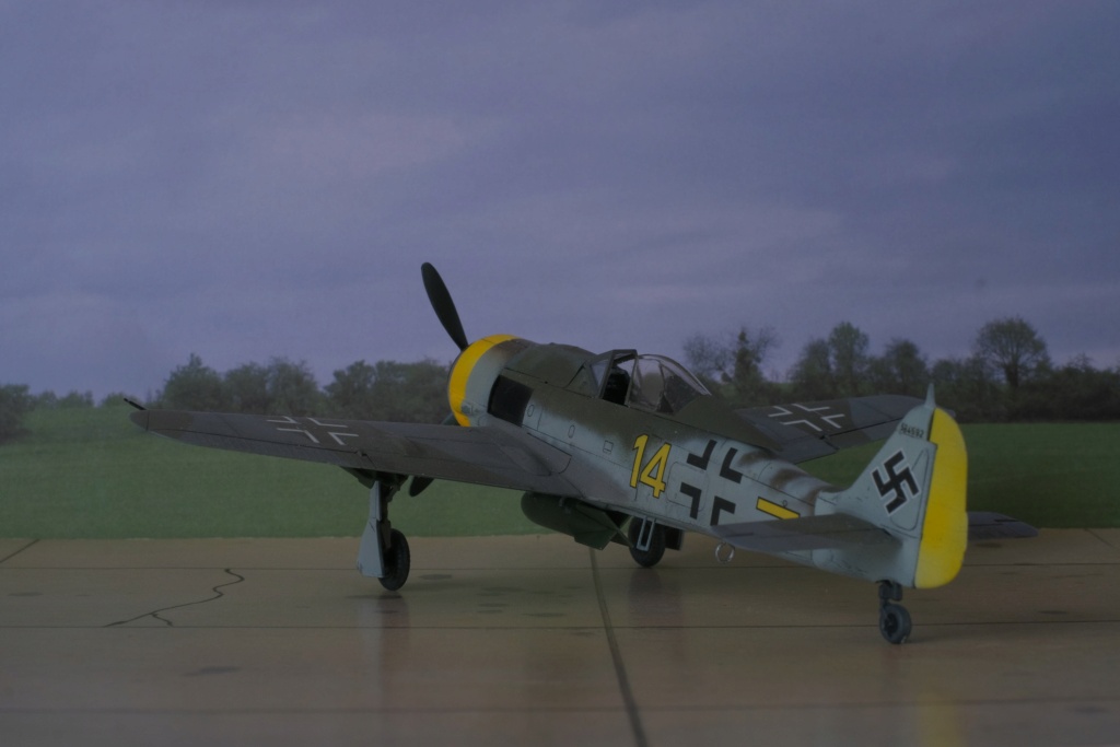 [Eduard] 1/72 - Focke-Wulf Fw 190 F  (fw190) Dscf1552
