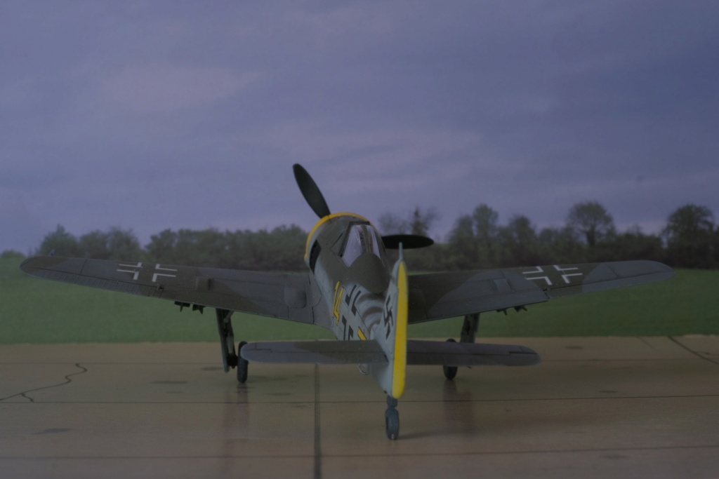 [Eduard] 1/72 - Focke-Wulf Fw 190 F  (fw190) Dscf1553