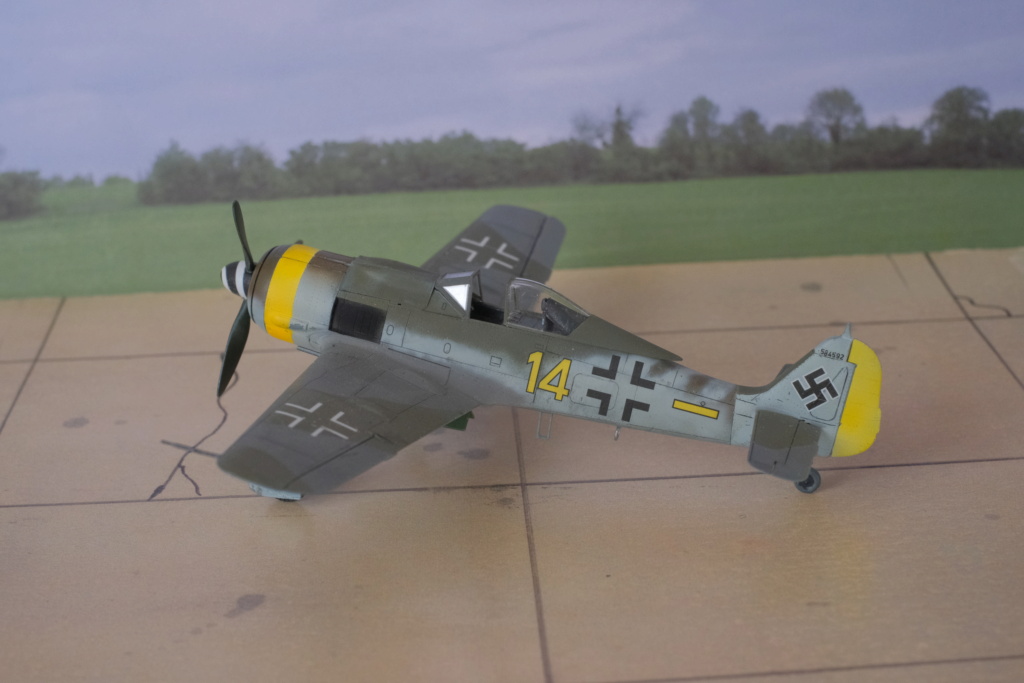 [Eduard] 1/72 - Focke-Wulf Fw 190 F  (fw190) Dscf1558