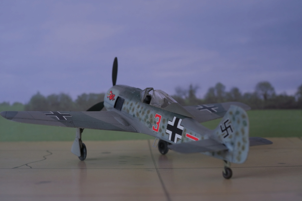 [Tamiya] 1/72 - Focke-Wulf Fw 190 A   (fw190)   Dscf1570
