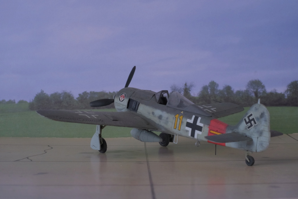 [PRO MODELLER by Revell-Monogram] 1/72 - Focke Wulf Fw 190 A8  (fw190) Dscf1578
