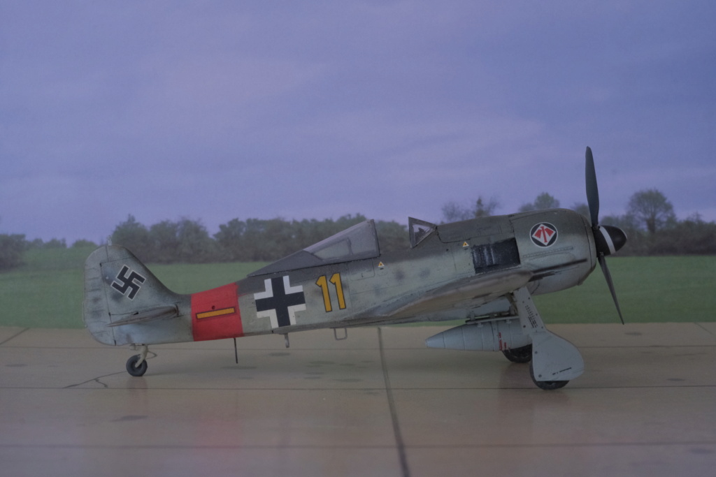[PRO MODELLER by Revell-Monogram] 1/72 - Focke Wulf Fw 190 A8  (fw190) Dscf1580