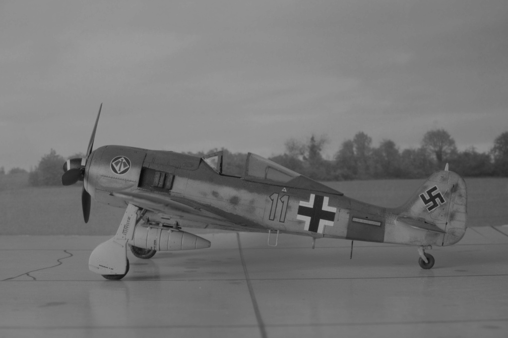 [PRO MODELLER by Revell-Monogram] 1/72 - Focke Wulf Fw 190 A8  (fw190) Dscf1585