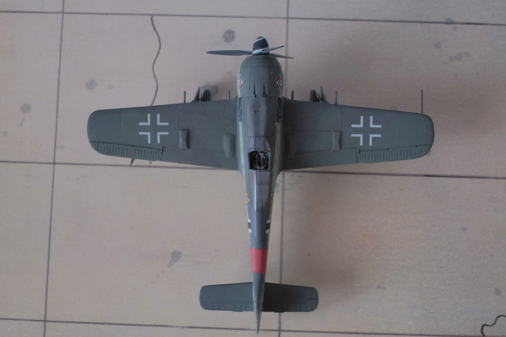 [PRO MODELLER by Revell-Monogram] 1/72 - Focke Wulf Fw 190 A8  (fw190) Dscf1587