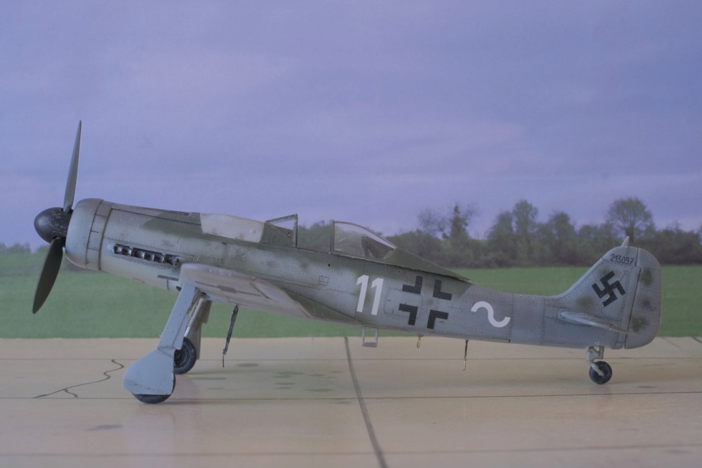 [IBG Models] 1/72 - Focke Wulf Fw 190 D   (fw190) Dscf1655
