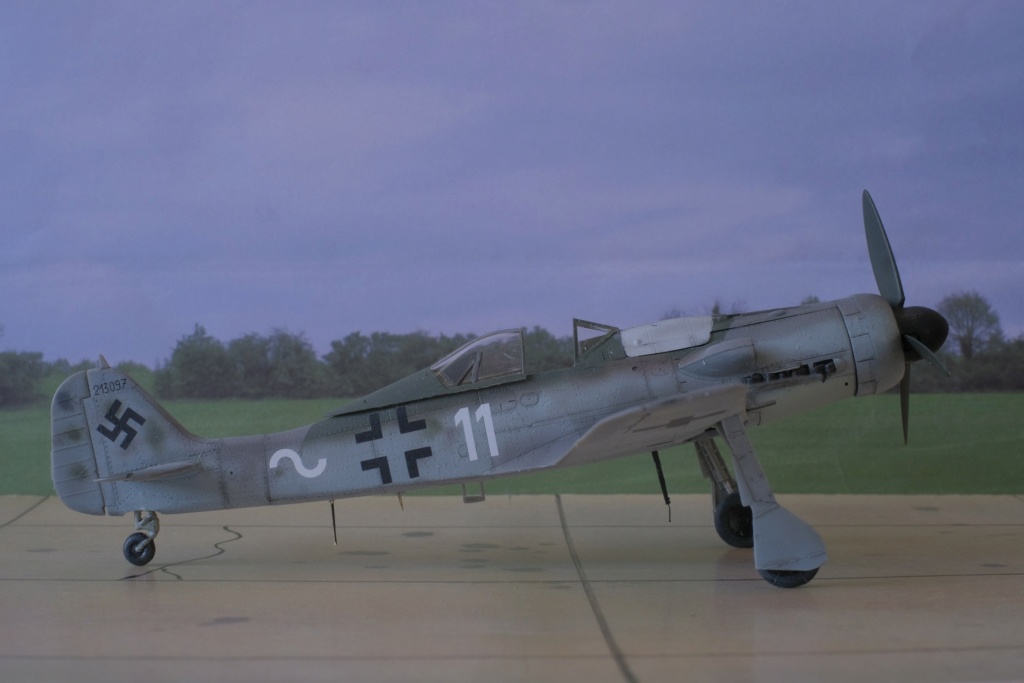 [IBG Models] 1/72 - Focke Wulf Fw 190 D   (fw190) Dscf1658