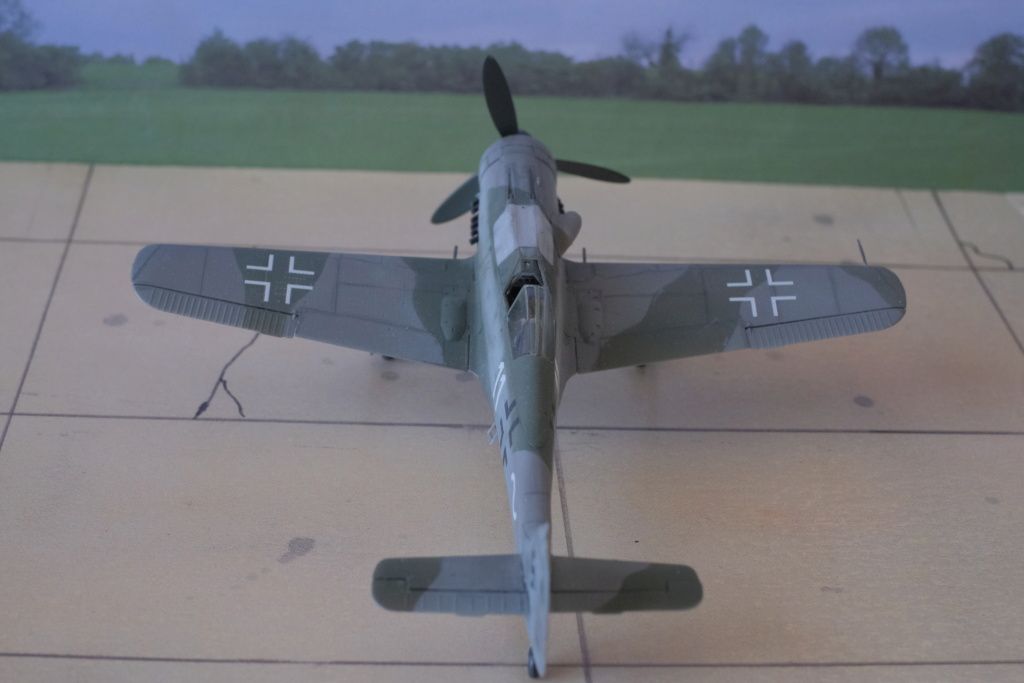 [IBG Models] 1/72 - Focke Wulf Fw 190 D   (fw190) Dscf1663