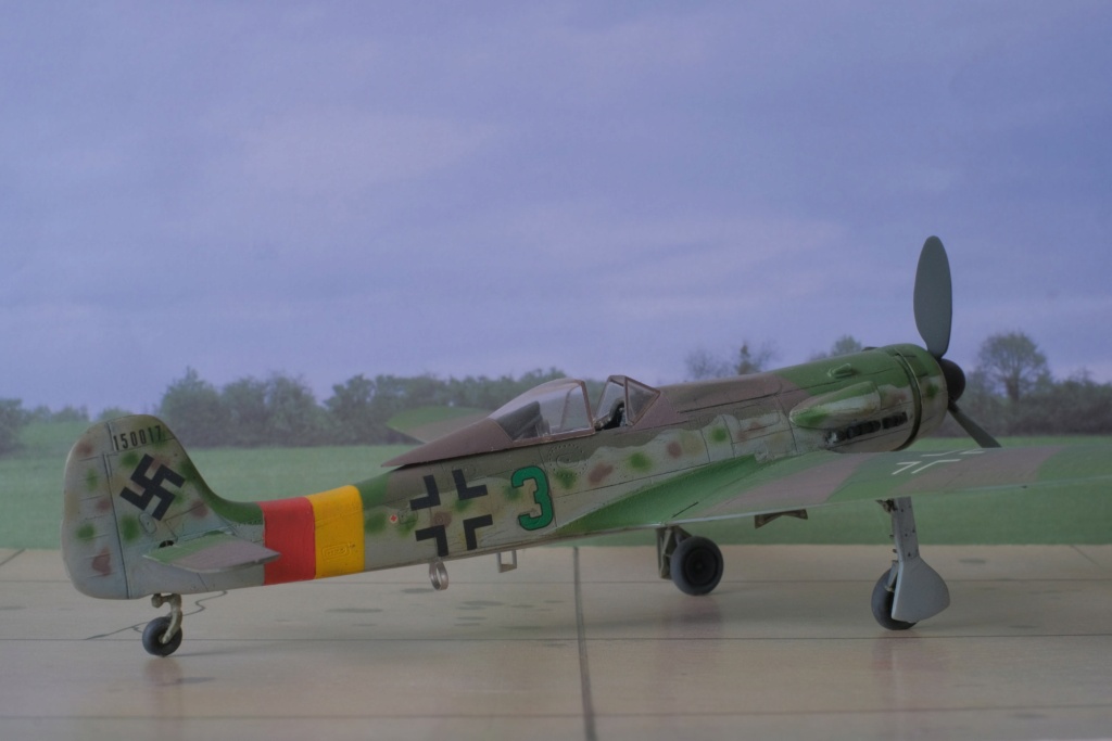 [Dragon] 1/72 - Focke-Wulf Ta 152 H   (ta152) Dscf1667