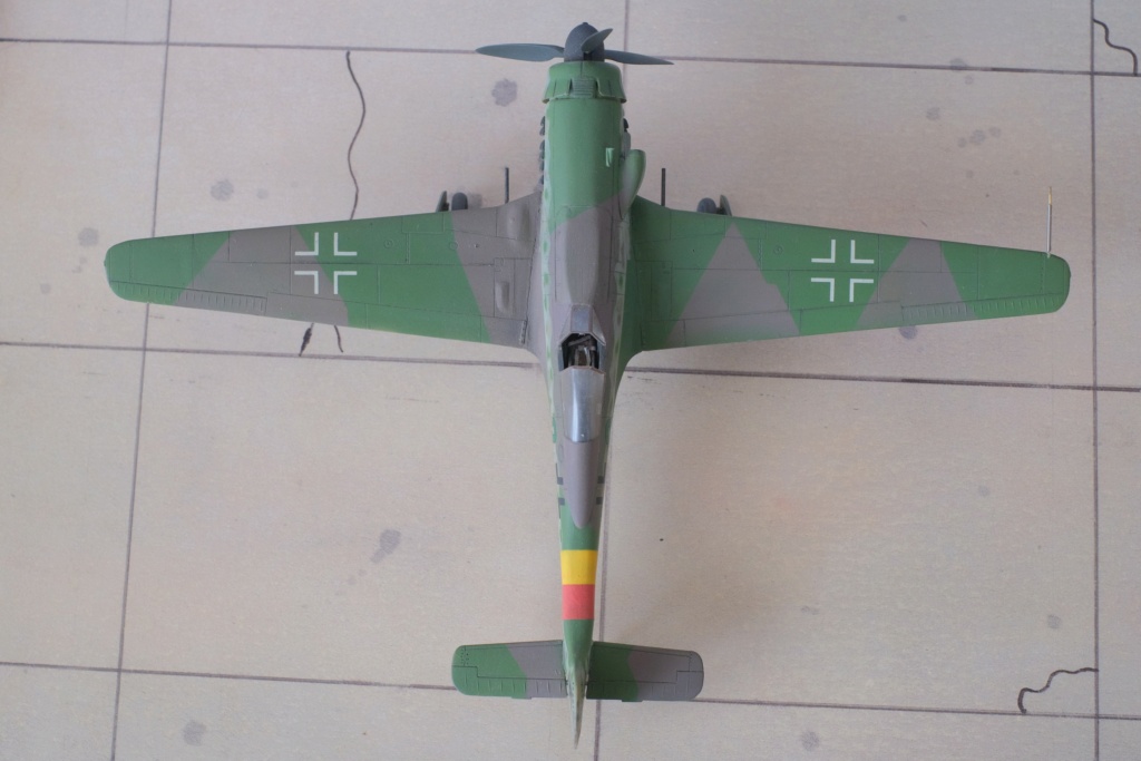 [Dragon] 1/72 - Focke-Wulf Ta 152 H   (ta152) Dscf1670