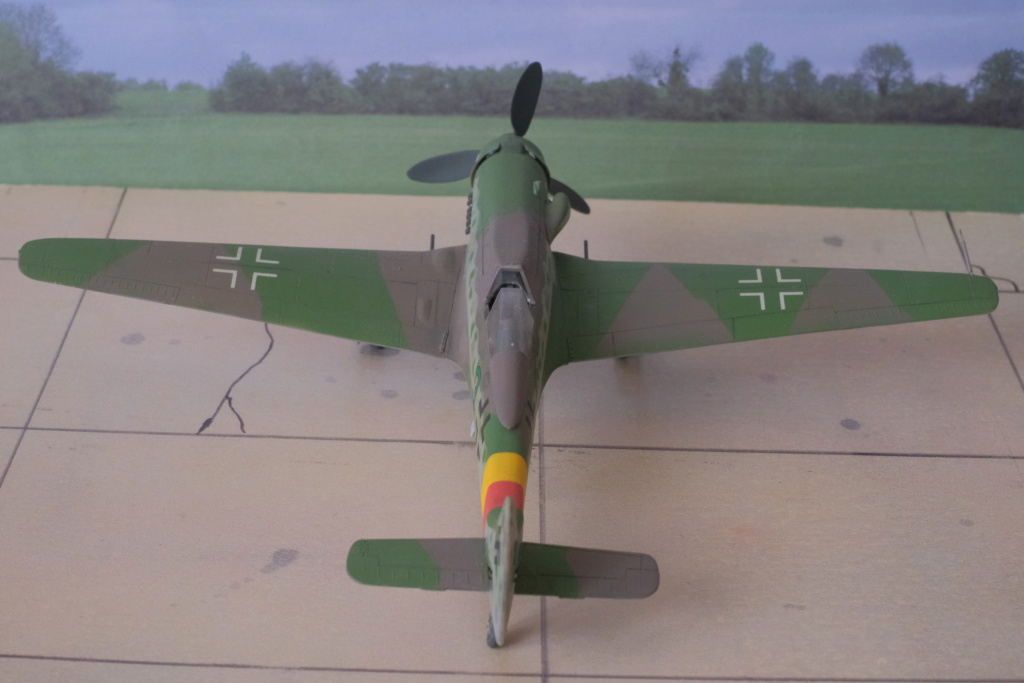 [Dragon] 1/72 - Focke-Wulf Ta 152 H   (ta152) Dscf1671