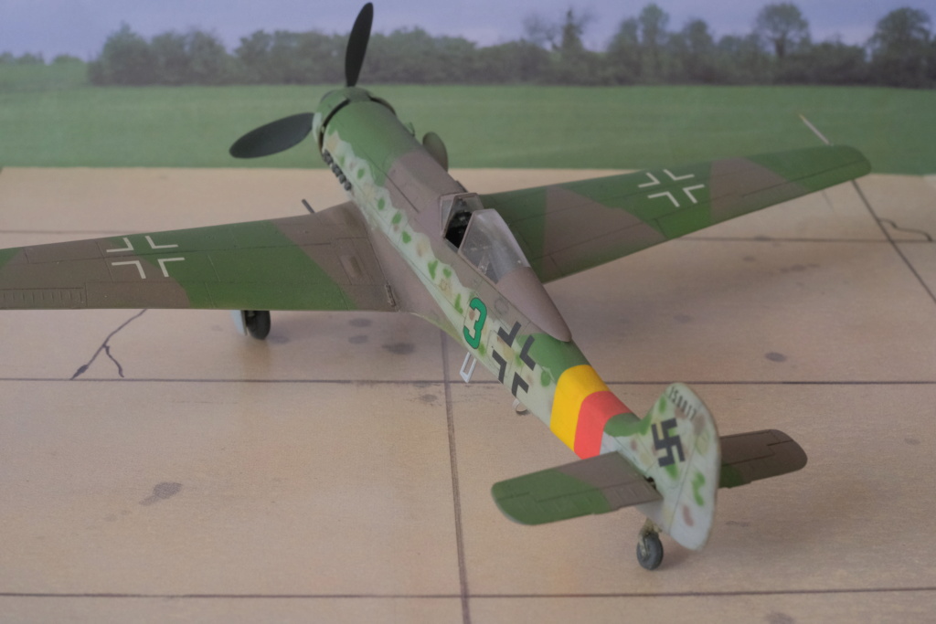 [Dragon] 1/72 - Focke-Wulf Ta 152 H   (ta152) Dscf1673