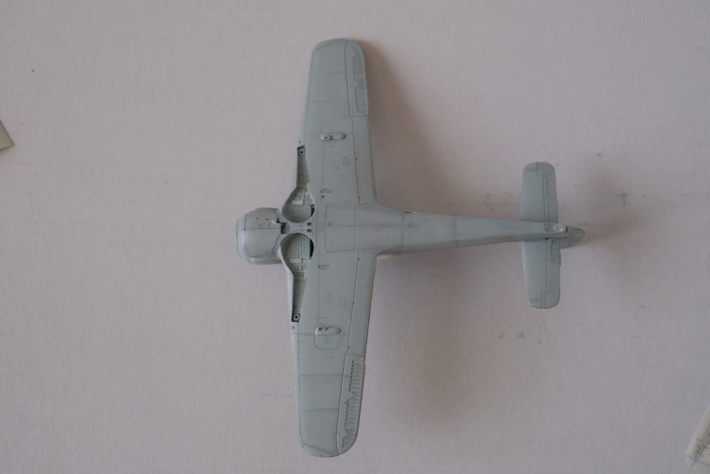 [Revell] 1/72 - Focke-Wulf Fw 190 A8  (fw190) Dscf1719