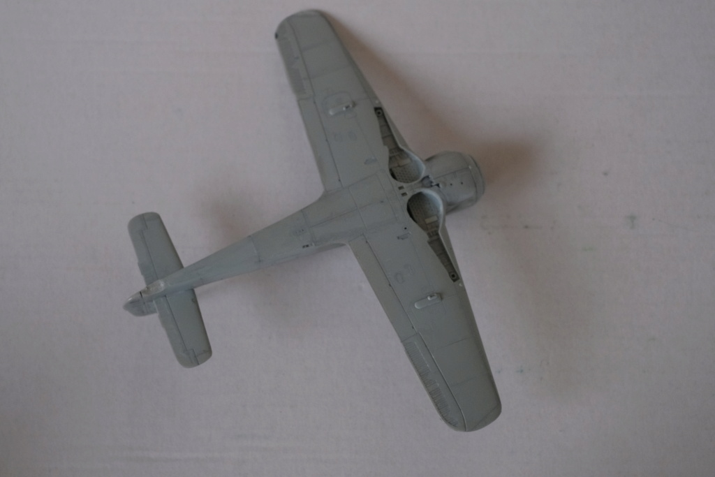 [Revell] 1/72 - Focke-Wulf Fw 190 A8  (fw190) Dscf1721