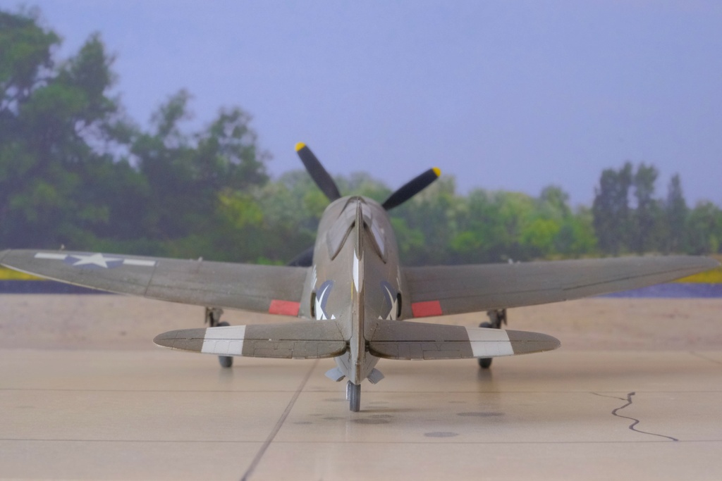 [Tamiya]   P47D Rasorback  Dscf2222