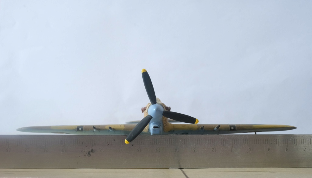 Hawker Hurricane Mk IIc et Sea Hurricane Mk X Revell au 1/72° Dscf9440