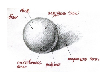 Рефлексы, светотень и цвет тени. Как разобраться? Au_aa10