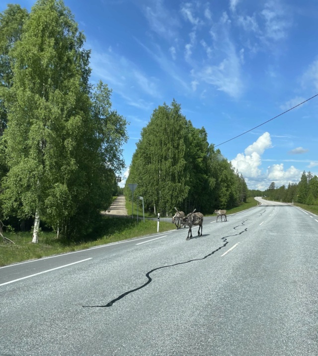 Récit de voyage en Finlande Norvège en fourgon jusqu'aux Lofoten 53b07210