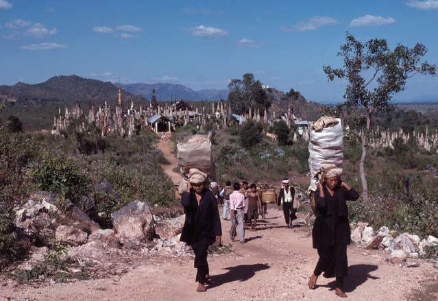 Fil parallèle au concours photos du mois de mai 2024 : Chemin faisant - Page 2 2024-032