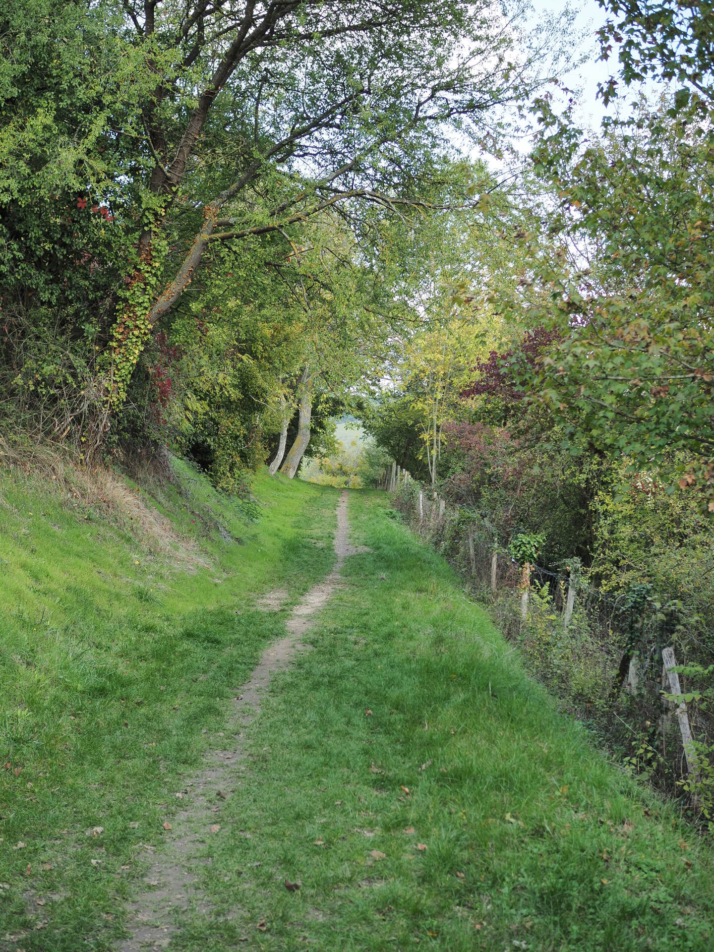 Fil parallèle au concours photos du mois de mai 2024 : Chemin faisant Pa184610