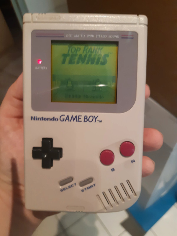Vends Game Boy Classic 16672211
