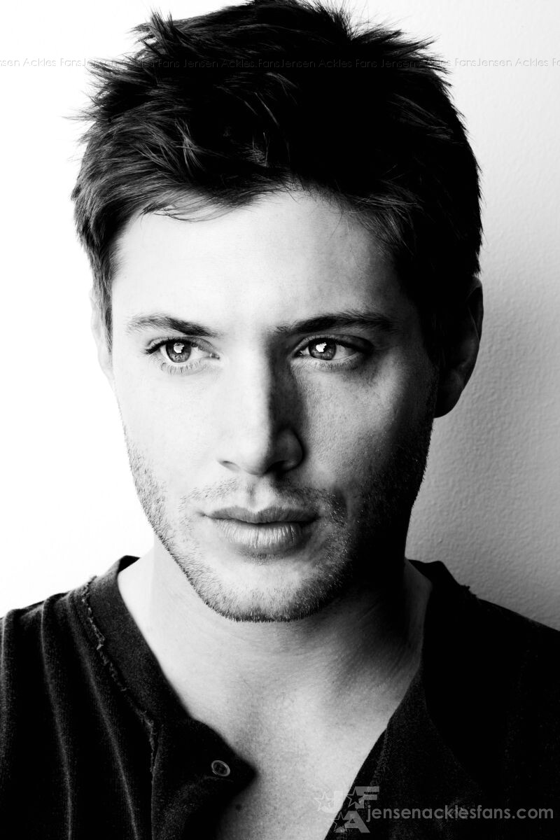 Jensen ¤6 45648110