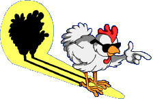 porc au germes de soja frais Poulet10
