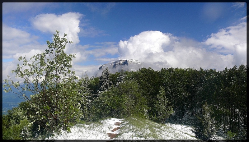 Episode neigeux de fin mai en Chartreuse Pano712