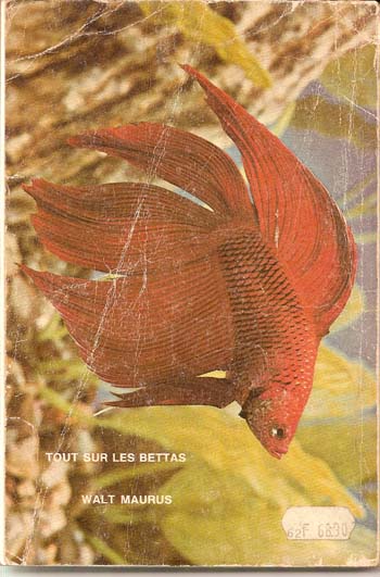 Tout sur les bettas de Walt Maurus Walt_m11